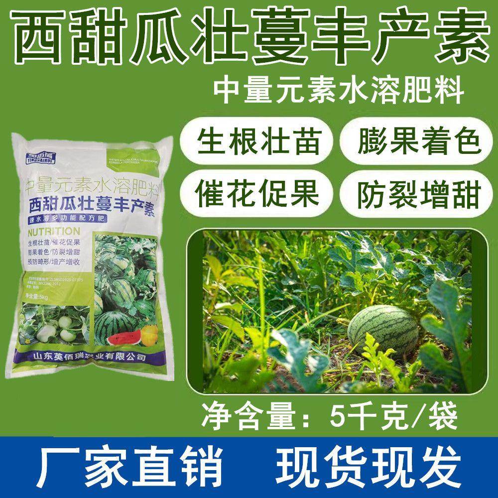 香瓜苗什么时候施肥最好(香瓜苗什么时候施肥最好呢)