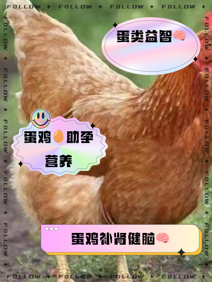 蛋鸡养殖最佳温度(产蛋鸡饲养的最佳温度范围为)