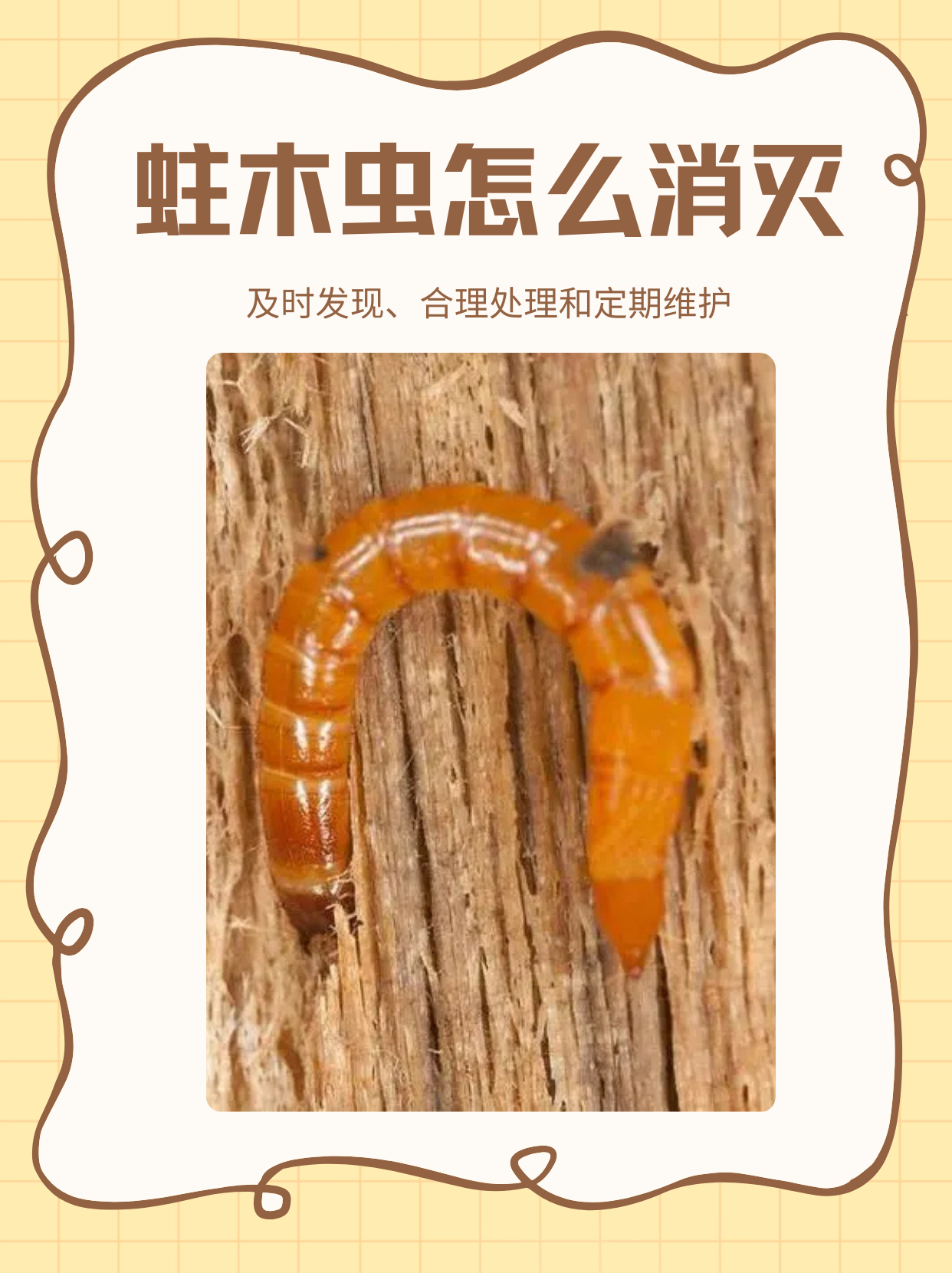 木材熏蒸杀虫(木材熏蒸的好处和坏处)