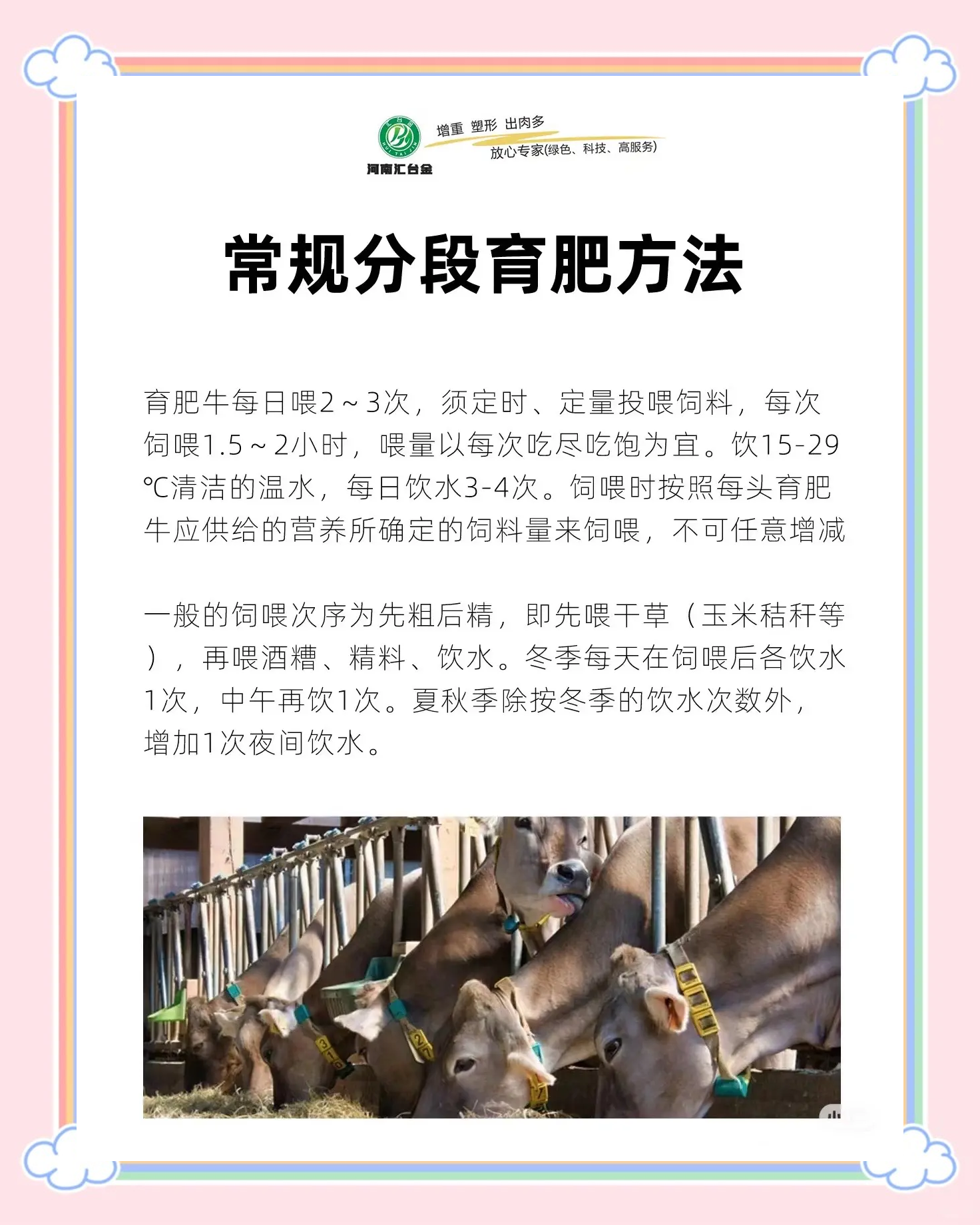 犊牛饲养技术(标题 犊牛饲养管理要注意哪些问题?)
