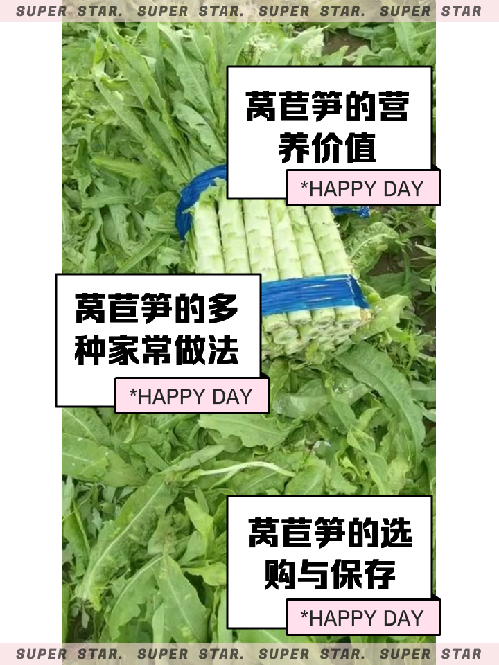 如何储存莴苣(如何储存莴苣不发芽)