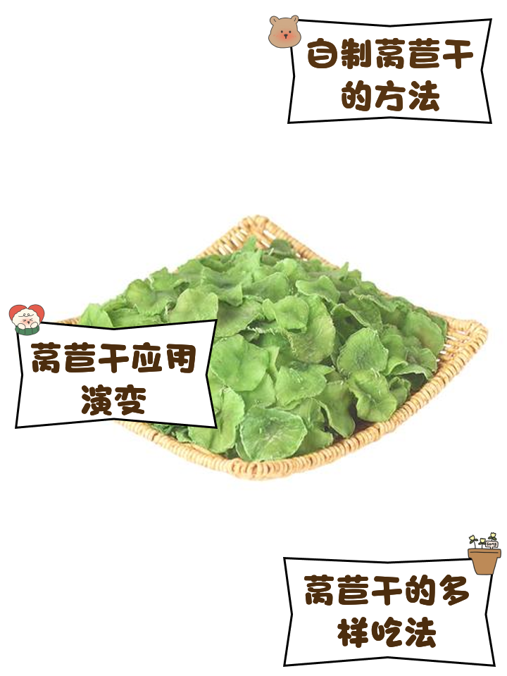 如何储存莴苣(如何储存莴苣不发芽)