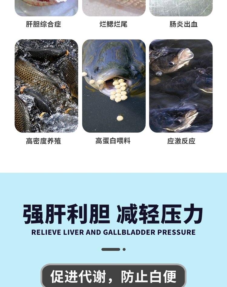 水产养殖胆汁酸(水产养殖胆汁酸和vc可以一起拌料喂鱼吗)