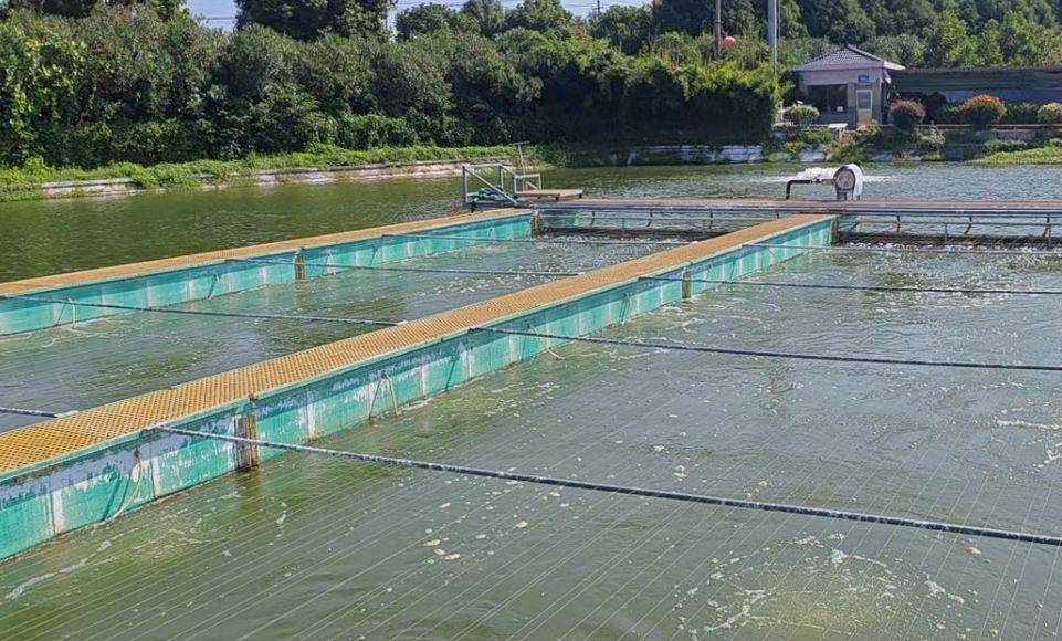 陆地水产养殖(水产养殖和陆地养殖哪个好)