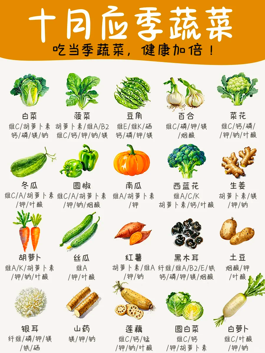 十月种植什么蔬菜合适(十月种植什么蔬菜合适呢)