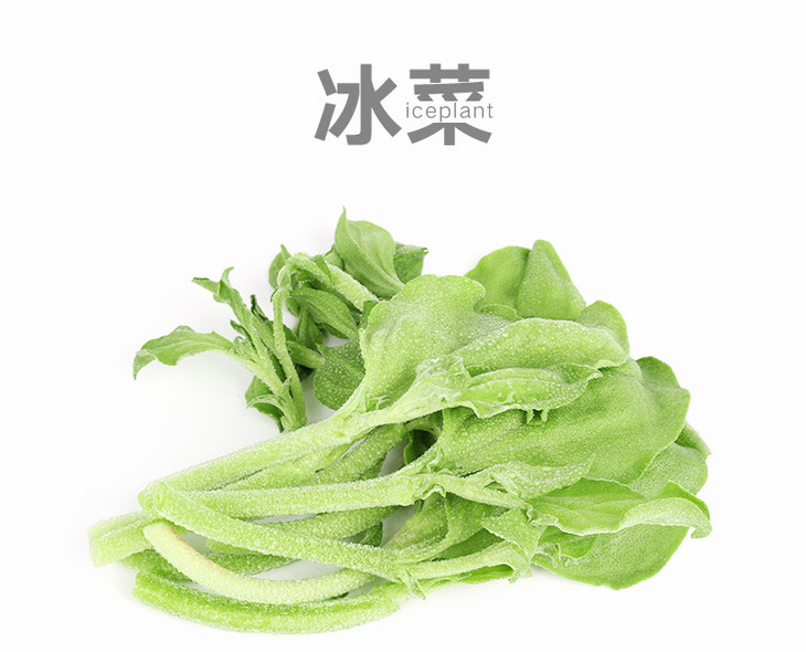 植物工厂生产的蔬菜价格(植物工厂生产的蔬菜价格怎么算)