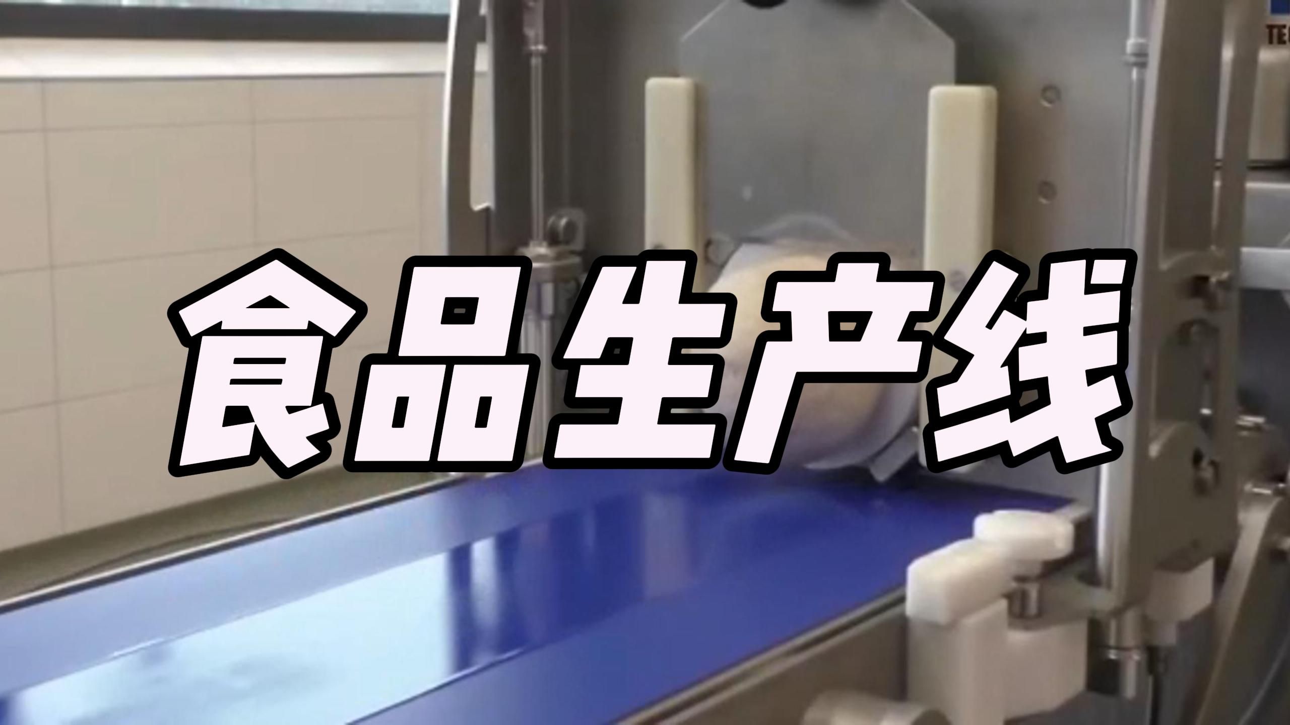什么叫食品生产(什么叫食品生产两员抽考工作)