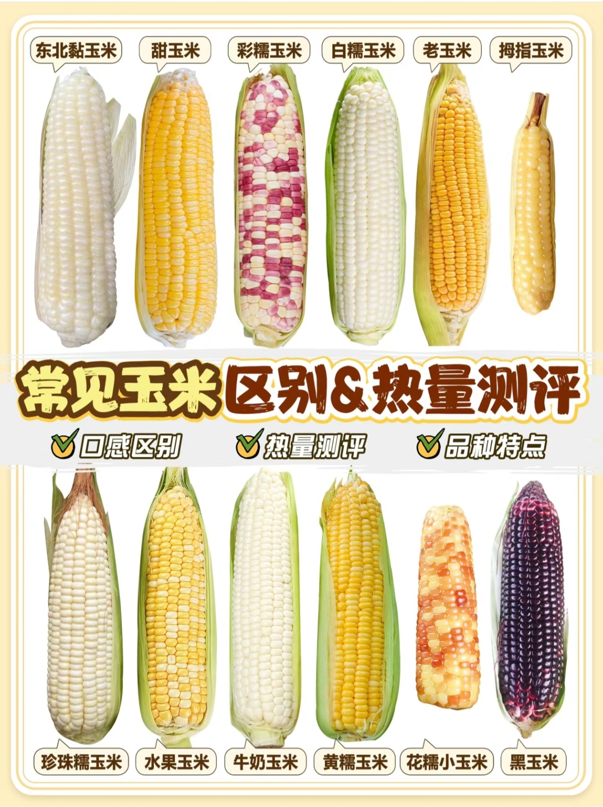 一斤玉米多少粒(一斤玉米粒出多少玉米糁)