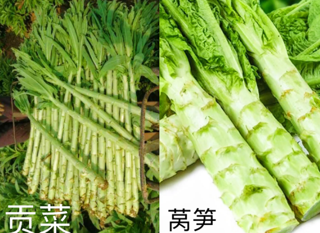 莴笋的叫法(莴笋有几种叫法)