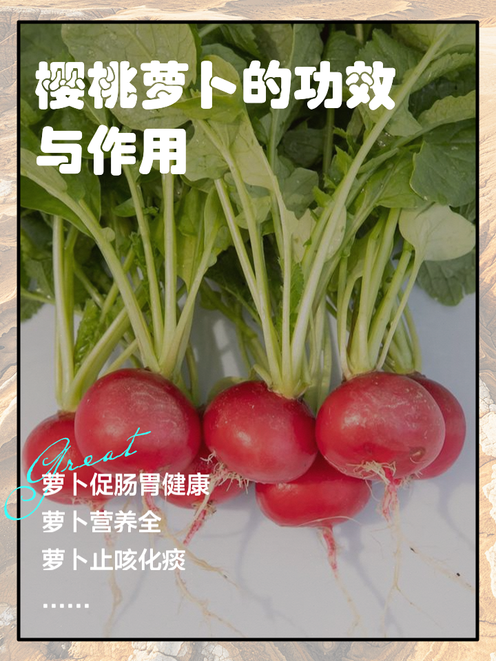 樱桃萝卜种植时间(樱桃萝卜几月份开始种)