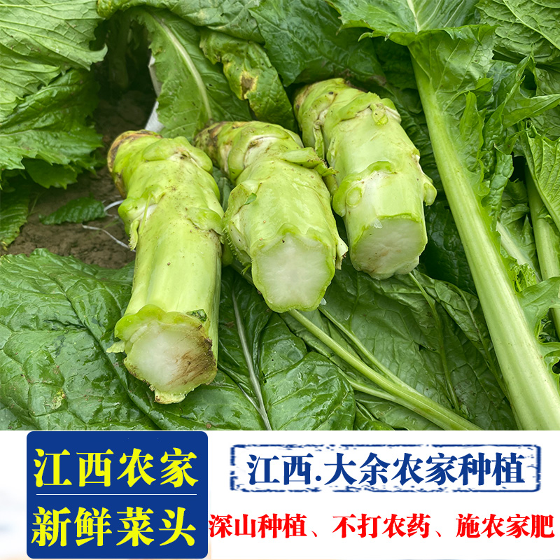 赣州蔬菜批发(赣州批发蔬菜的地方在哪里)