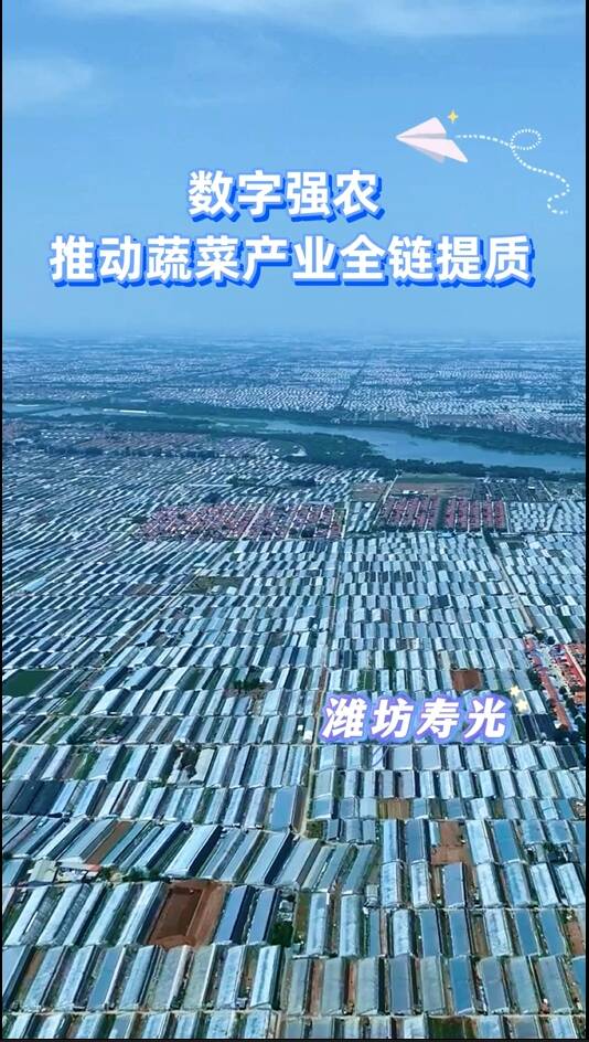 寿光蔬菜产业集团食品有限公司(寿光蔬菜产业集团食品有限公司生产许可证)