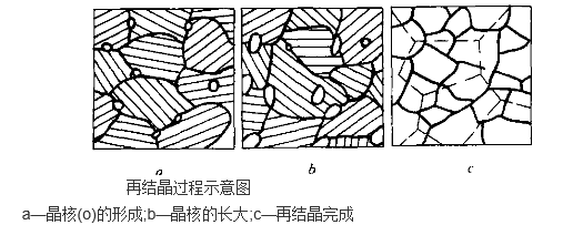 再加工.(再加工茶类包括哪些类型)
