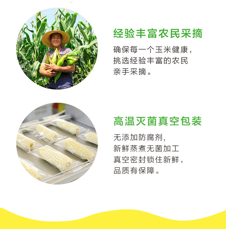 玉米种植专业合作社简介(玉米种植专业合作社有什么补贴政策)