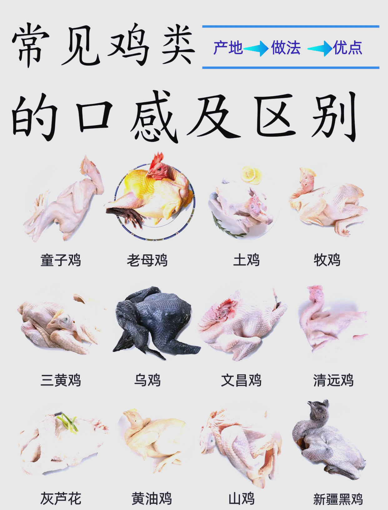 肉鸡饲养,肉食鸡养殖方法,,0.59,72,高,方法词的简单介绍
