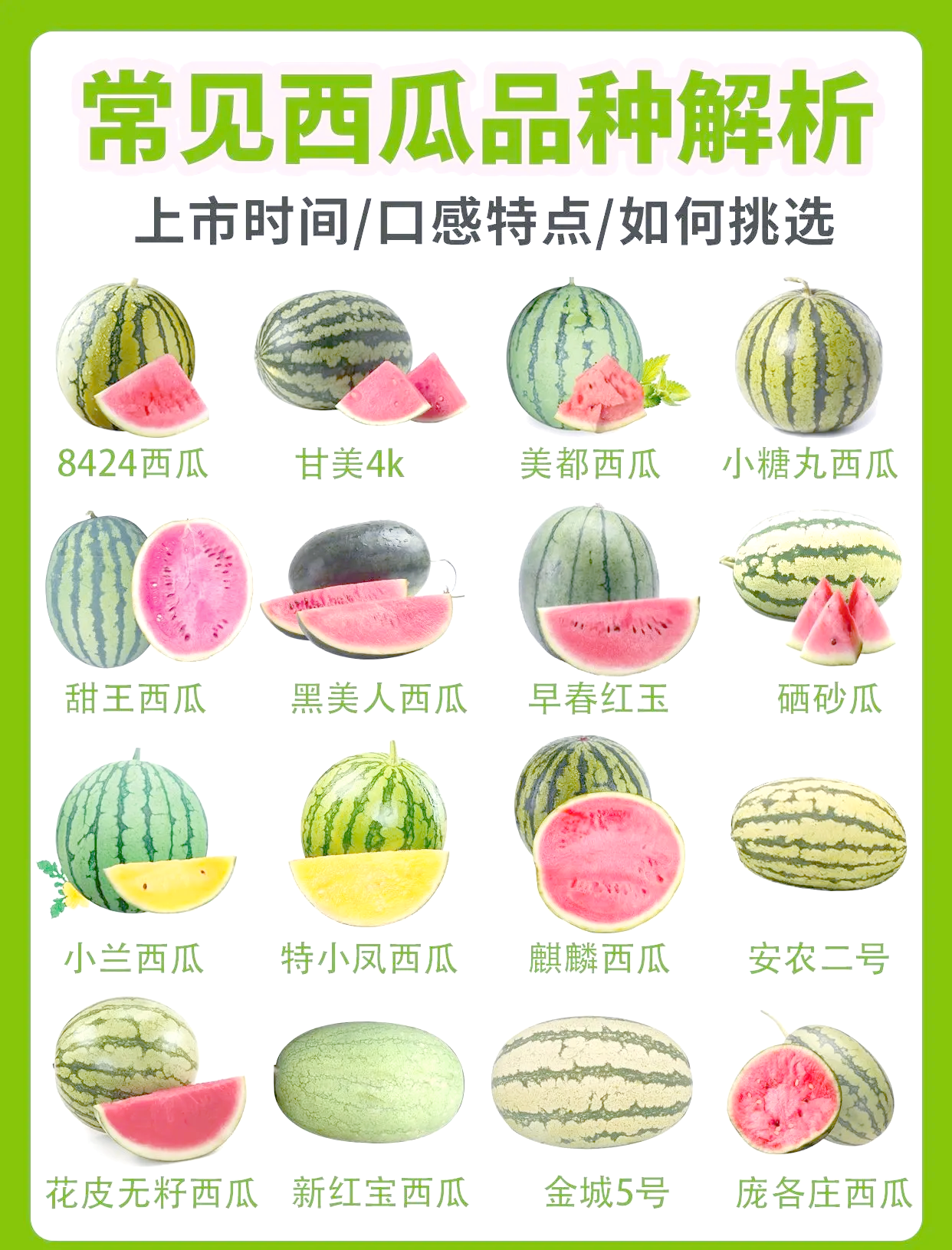2023年的西瓜种早的还是晚的的简单介绍