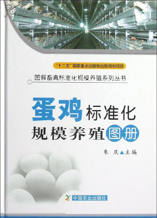 蛋鸡的养殖与管理技术(蛋鸡的养殖与管理技术书)