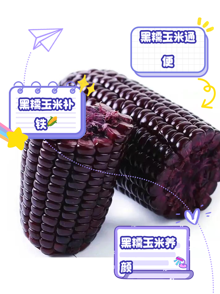 黑甜糯玉米功效与作用(黑甜糯玉米是不是转基因)