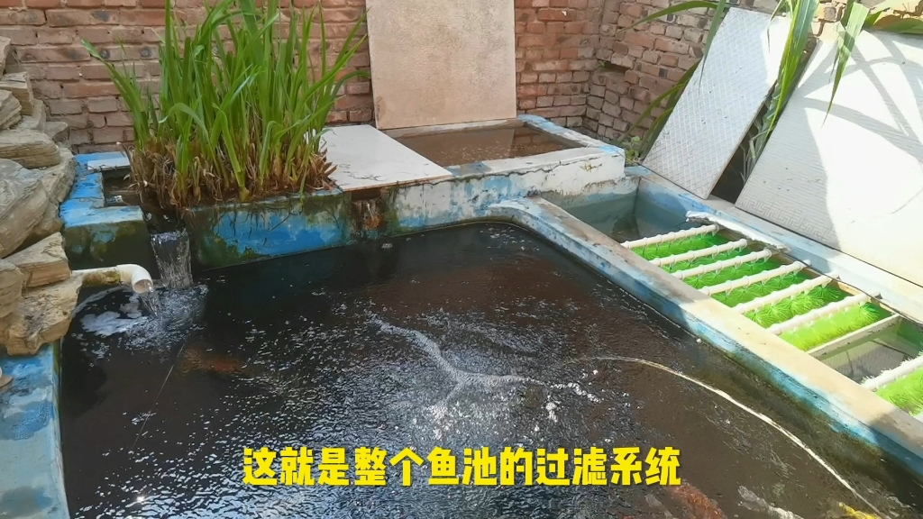 水产养殖水过滤系统(水产养殖水过滤系统的作用)
