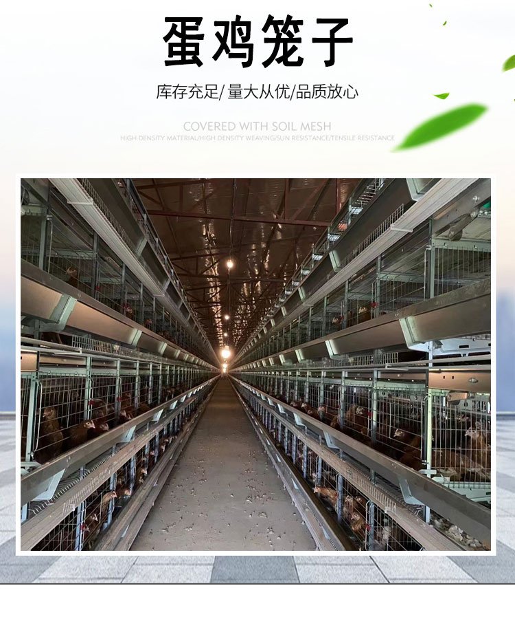 鸡养殖笼(家庭养殖鸡笼)