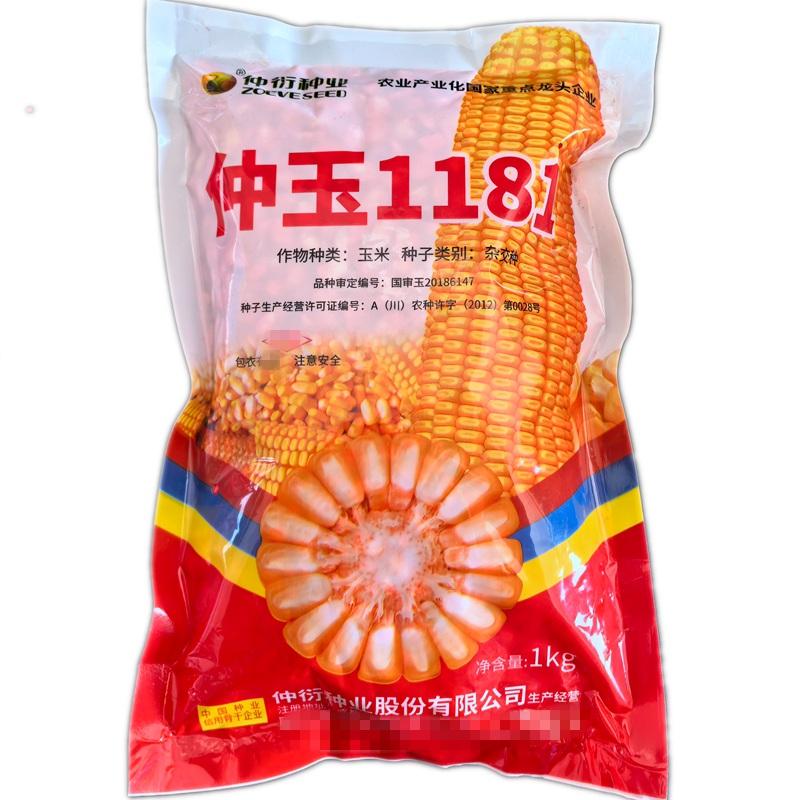晚熟的玉米品种有哪些(玉米中晚熟品种是多少天)