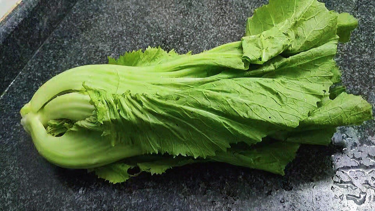 水东芥菜是哪里的(水东芥菜是哪里的特产)