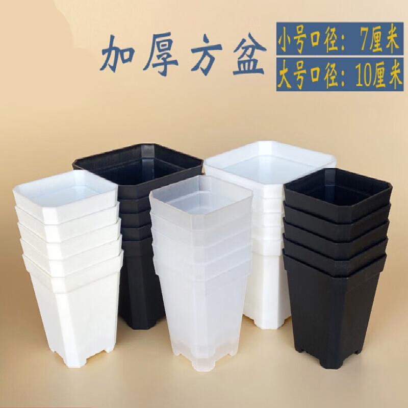 扦插育苗专用盆(扦插育苗专用盆图片)