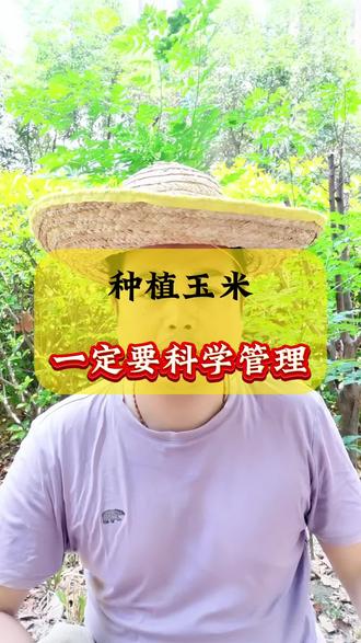 玉米高产栽培管理技术(玉米高产栽培管理技术要点)