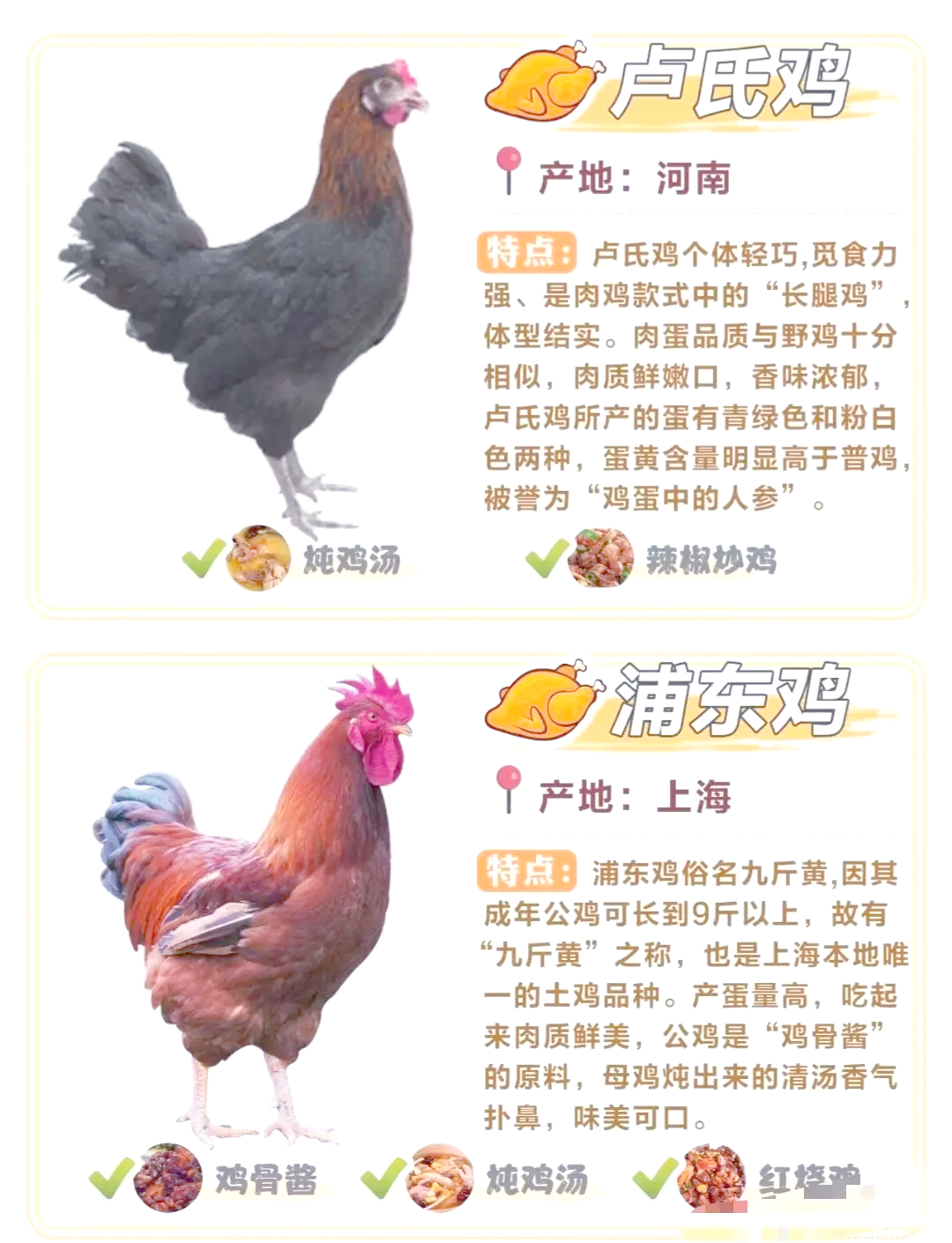 关于肉鸡饲养,蛋鸡养殖厂家,,1.24,2,高,厂家词的信息