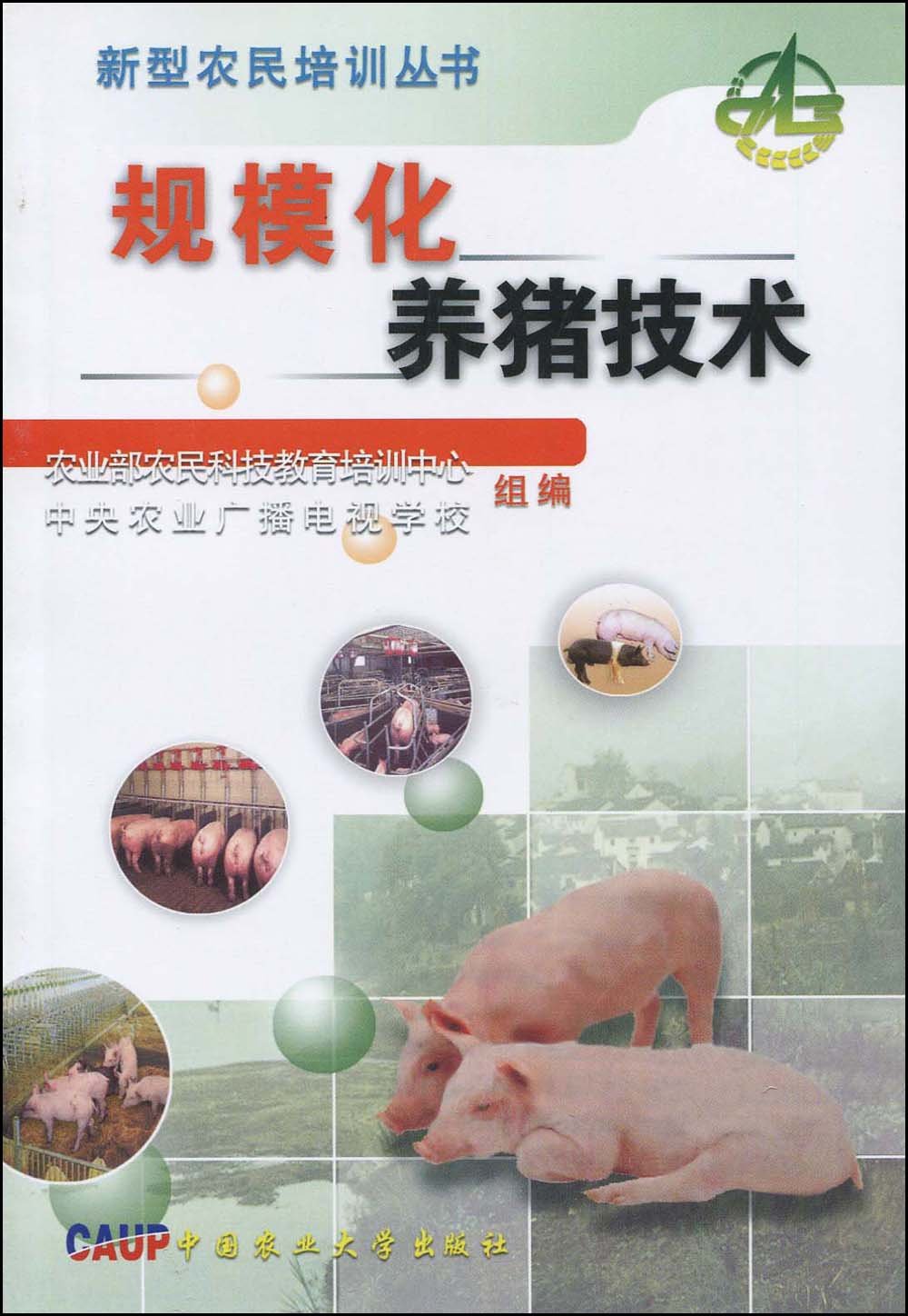 散养土猪养殖技术(散养土猪市场怎么样)