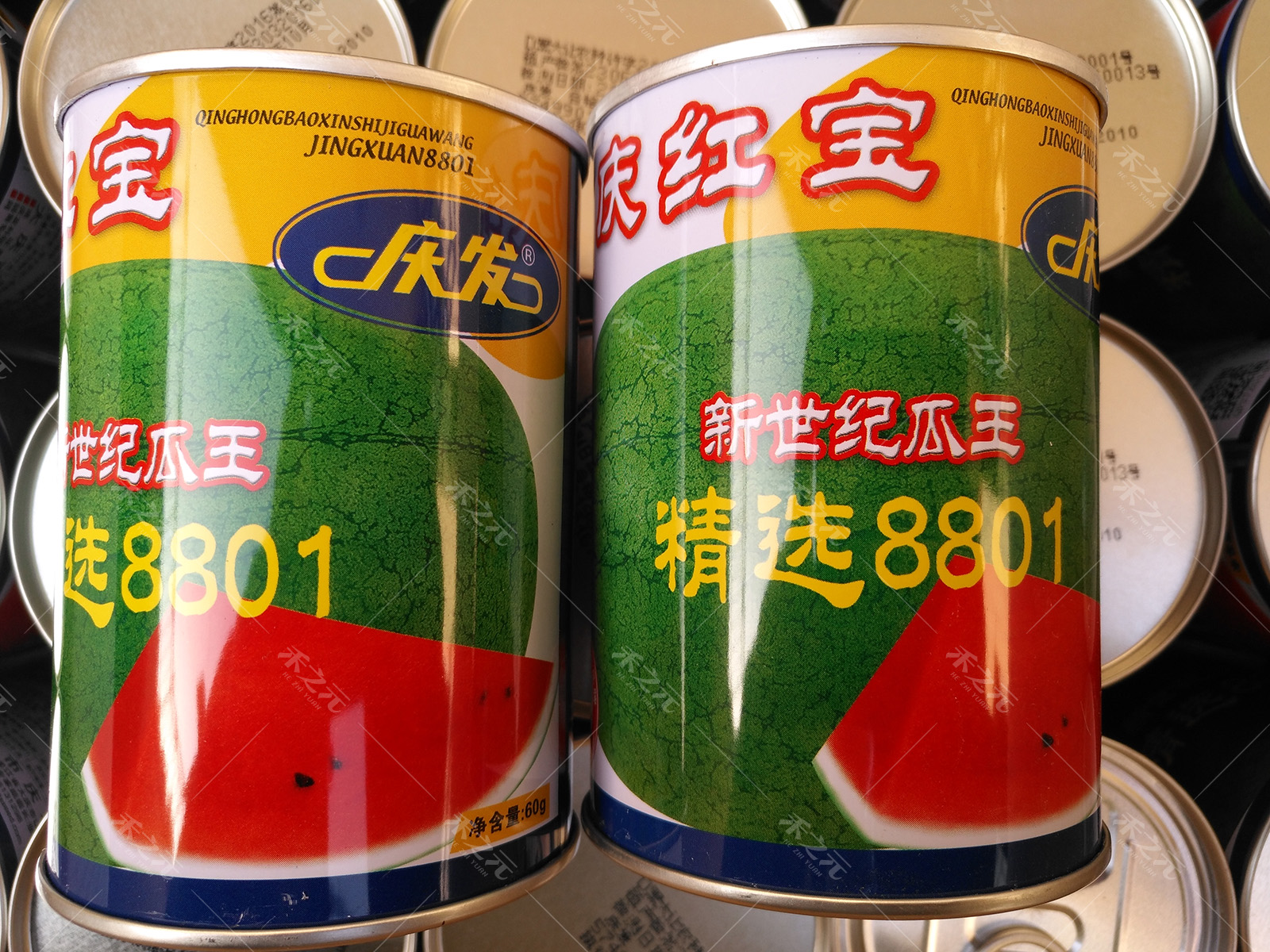 西瓜种子新品种(西瓜种子新品种有哪些)