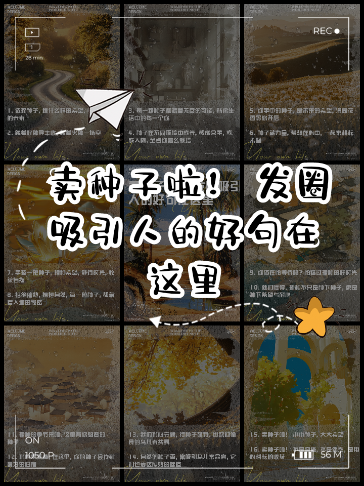 卖种子(卖种子农药化肥需要哪些手续)