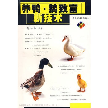 小鹅养殖技术(小鹅饲养管理技术视频)
