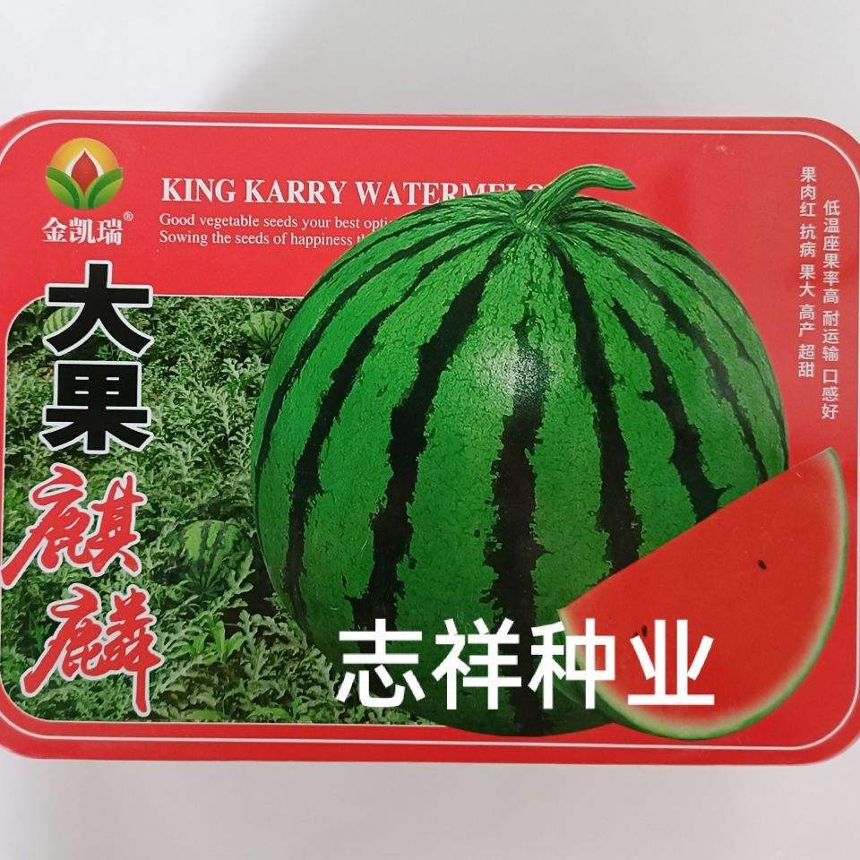 大果型西瓜品种有哪些(8424大果型西瓜品种)