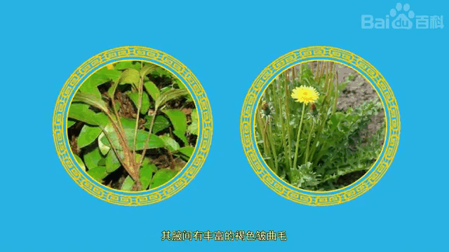 二恶英的种类(二恶英的性质和危害)