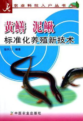 黄鳝的养殖方法和技术(黄鳝养殖流程的100个问题)