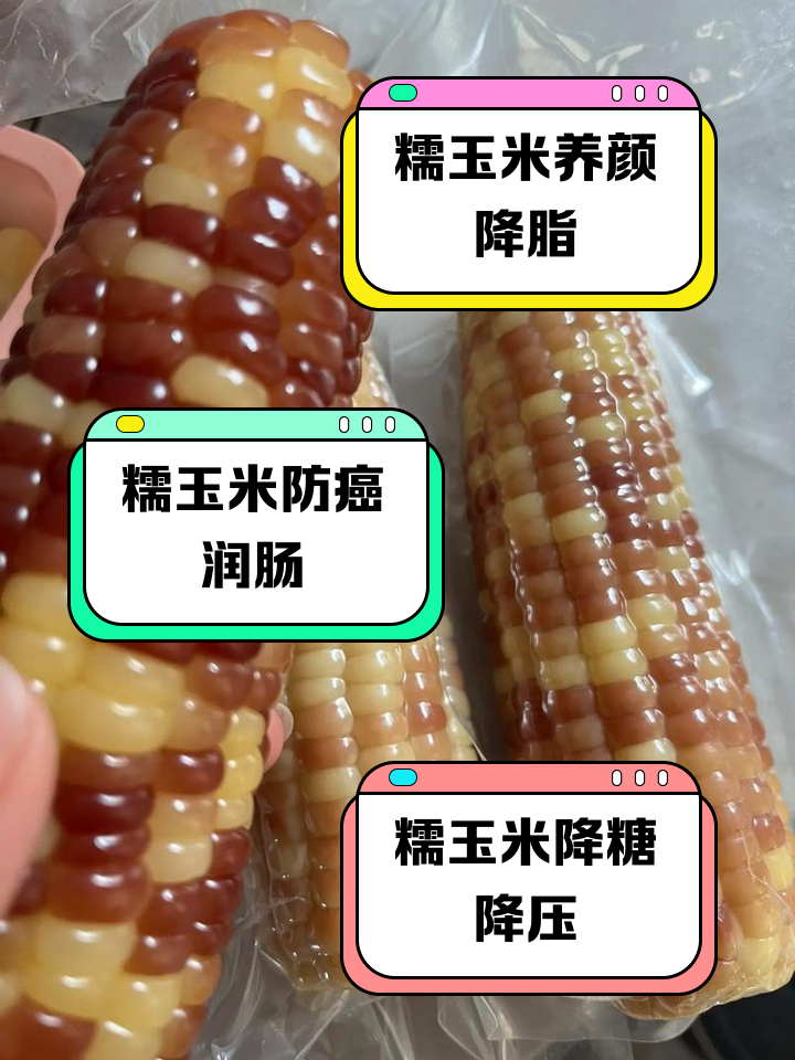 早糯玉米种植技术(早熟糯玉米品种排列前十名的有哪些)