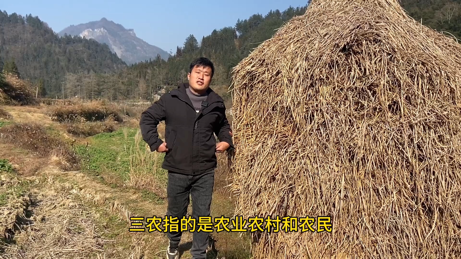 三农干部是哪三农(三农干部是什么意思)