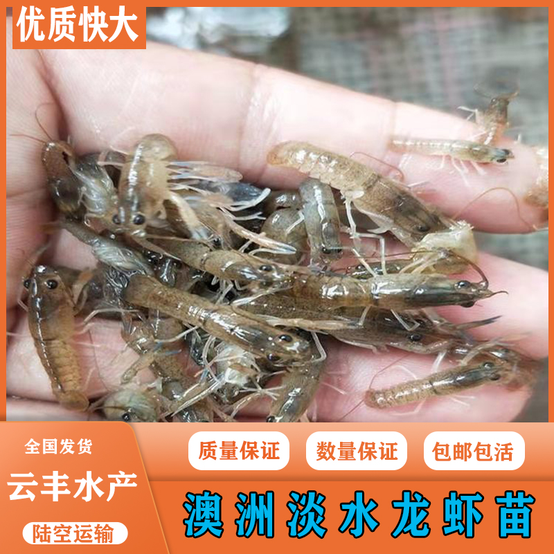 昌吉水产养殖(昌吉水产市场在哪里)
