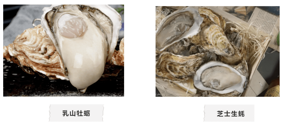 海鲜养殖技术(海鲜养殖技术发展过程)
