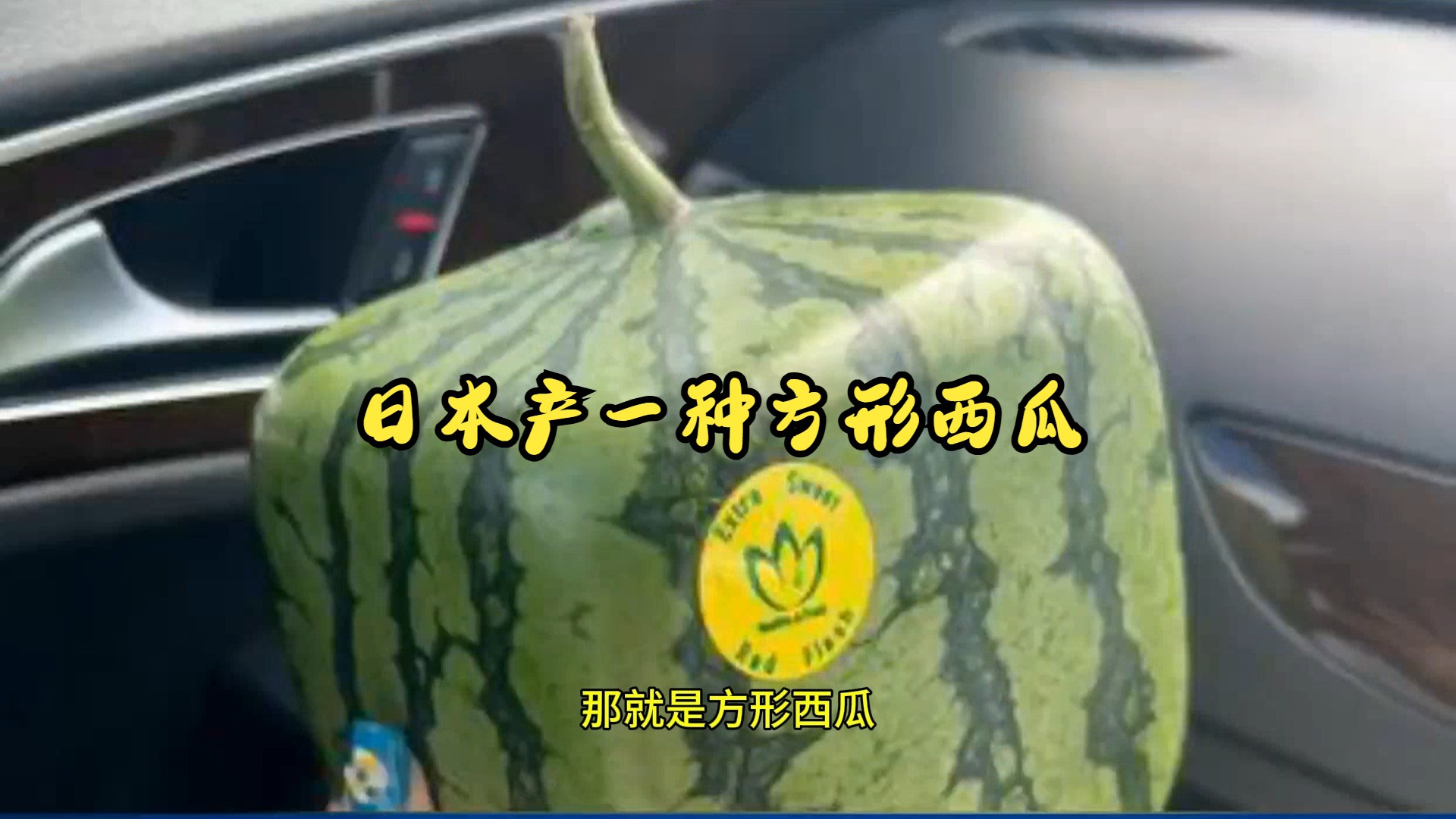 日本进口西瓜品种(日本西瓜种哪种最好)
