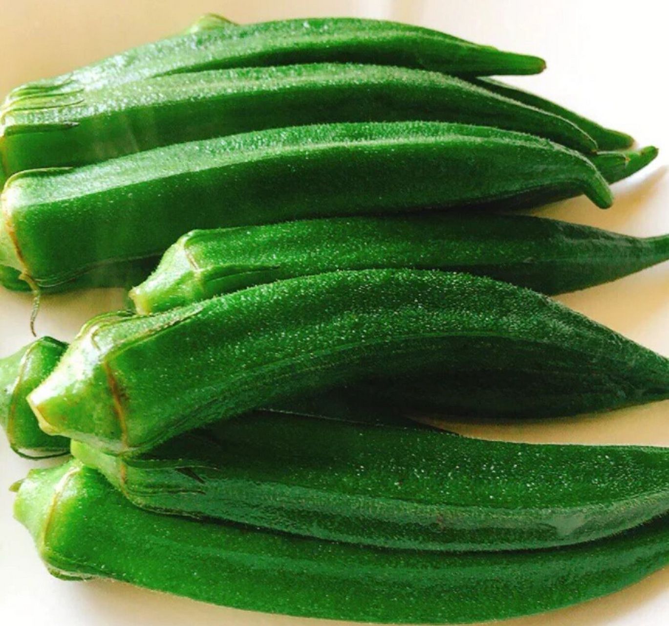 秋天适宜种植的蔬菜(秋天适合种些什么蔬菜)