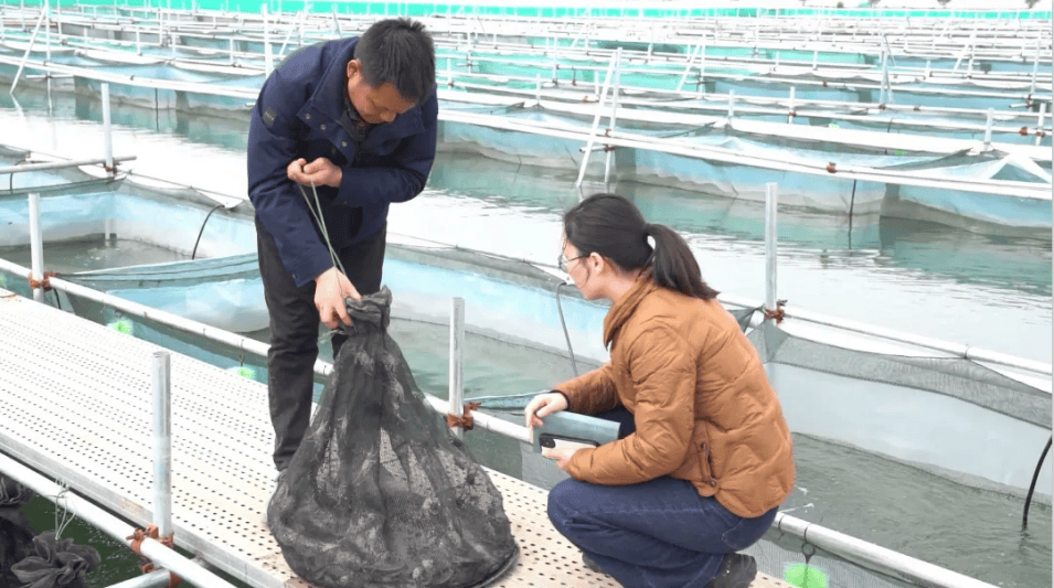 水产种苗养殖(水产苗种技术规范)