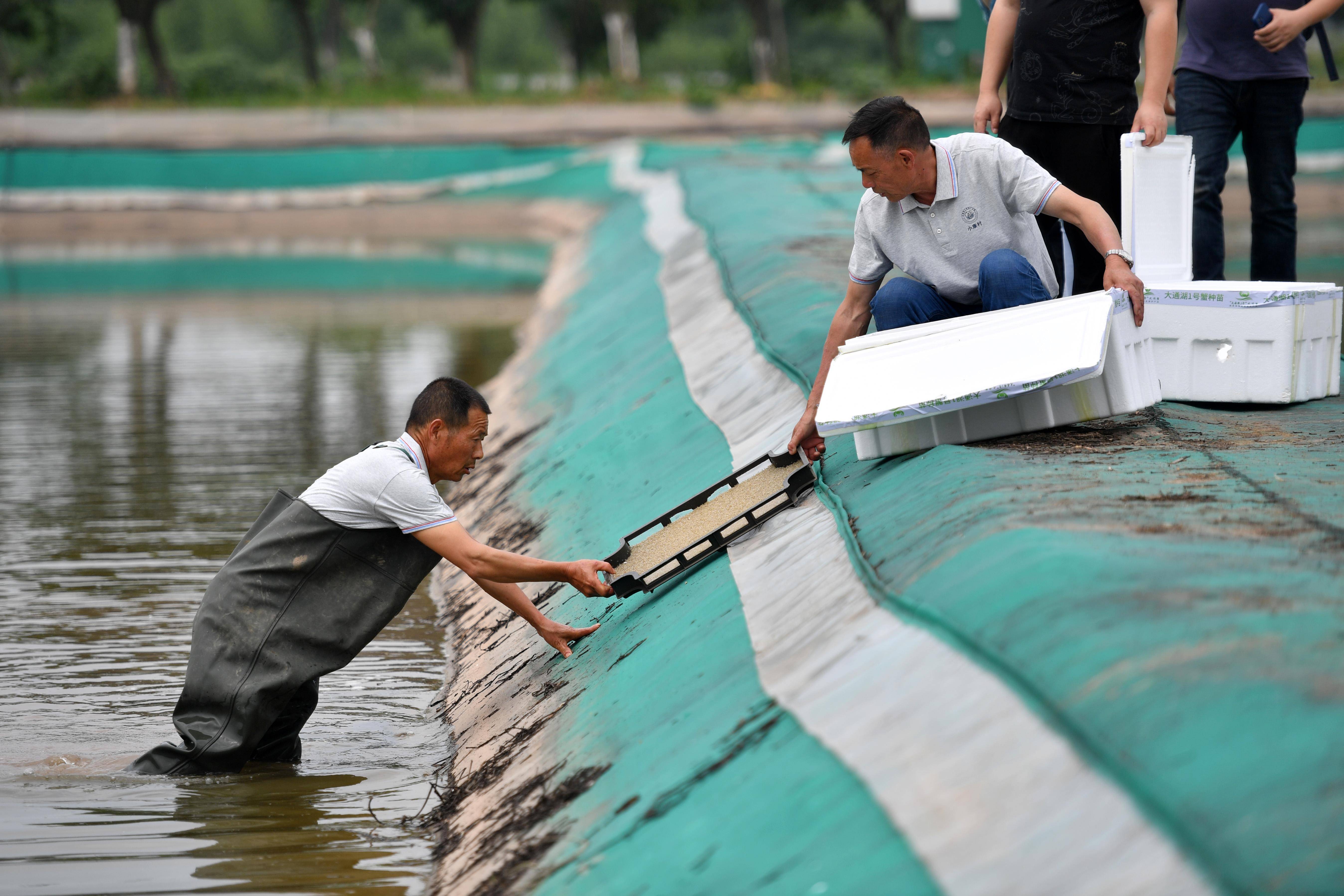 水产种苗养殖(水产苗种技术规范)