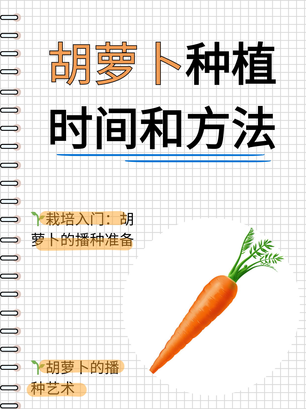 胡萝卜播种季节(胡萝卜播种季节及生长周期)