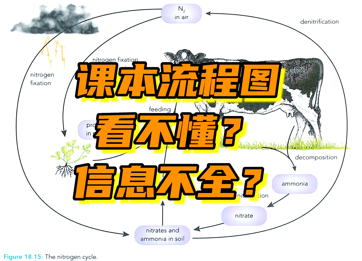 水产养殖氮循环(水产养殖氮循环的原理)