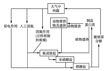 水产养殖氮循环(水产养殖氮循环的原理)