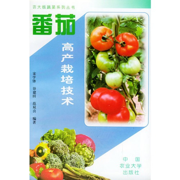 四季西红柿种植技术(西红柿一年四季可以种吗)