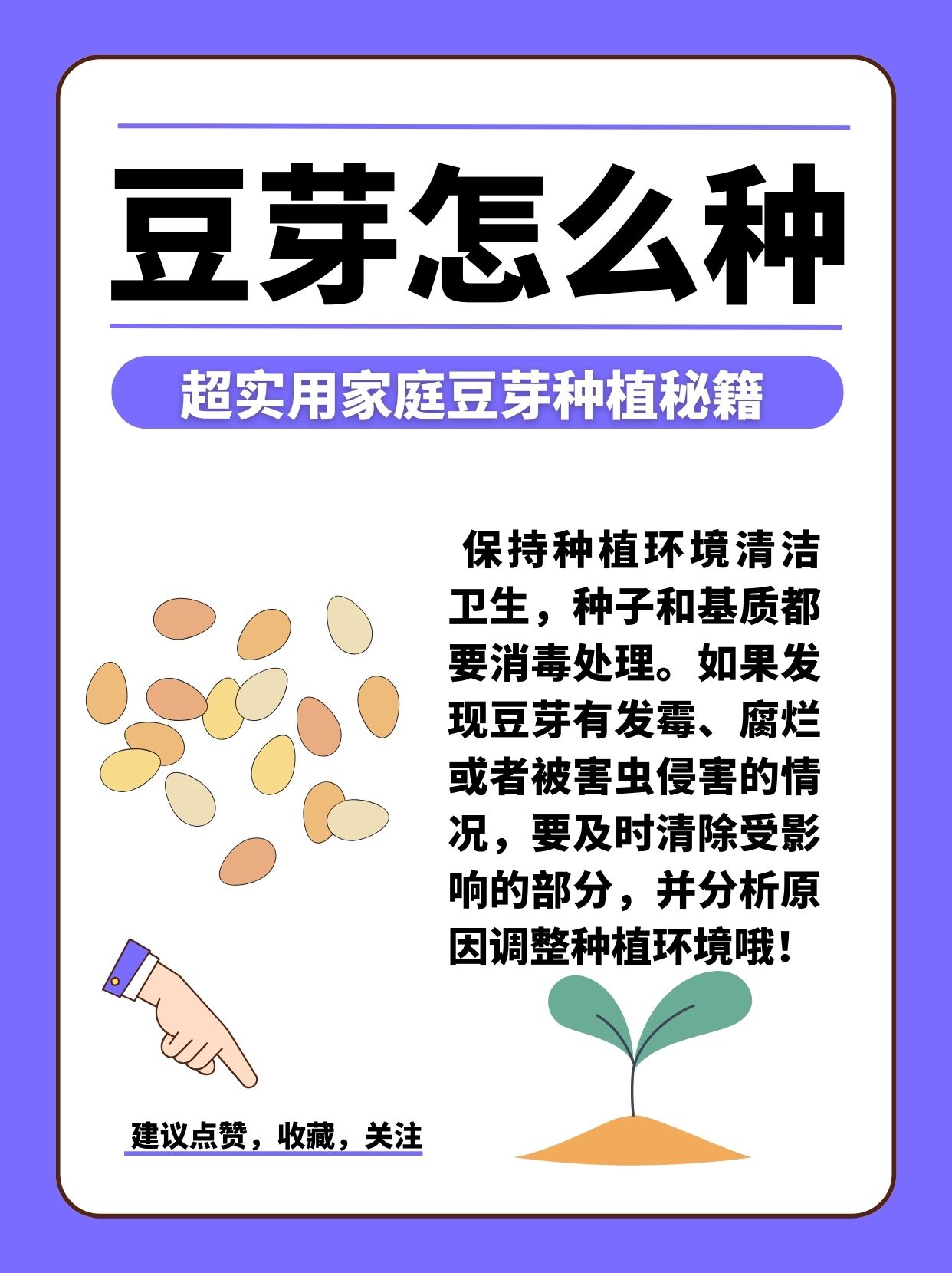 在家如何种豆子(在家如何种豆子视频教程)