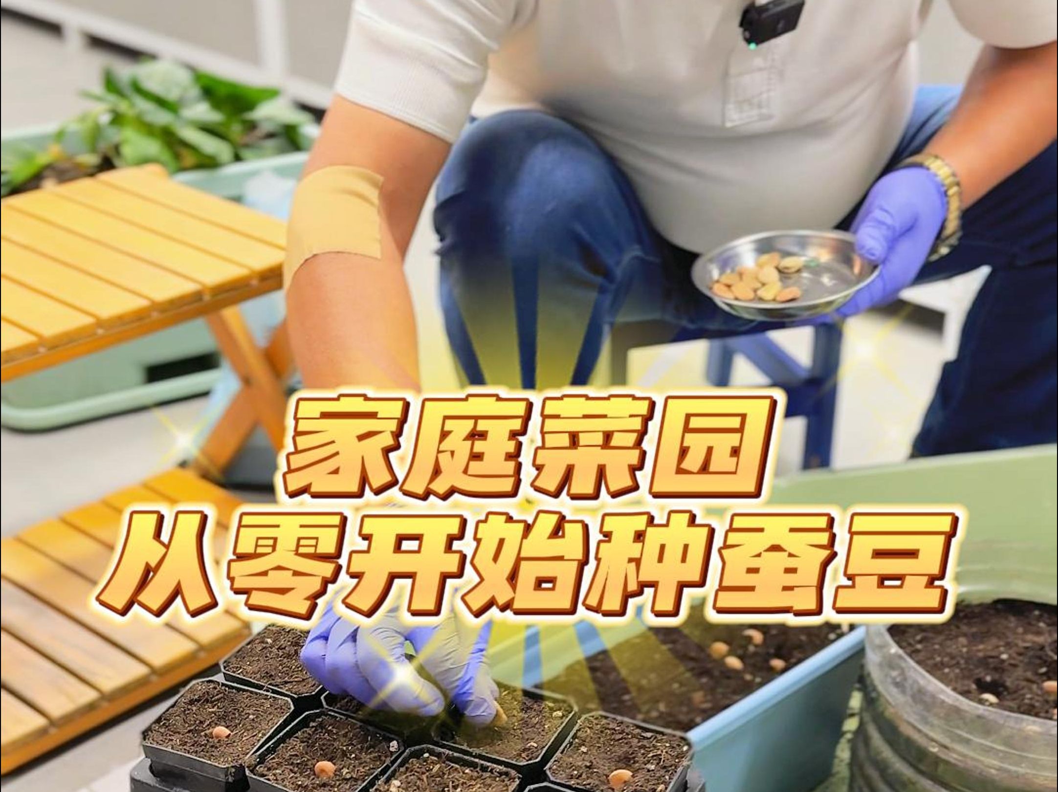 在家如何种豆子(在家如何种豆子视频教程)